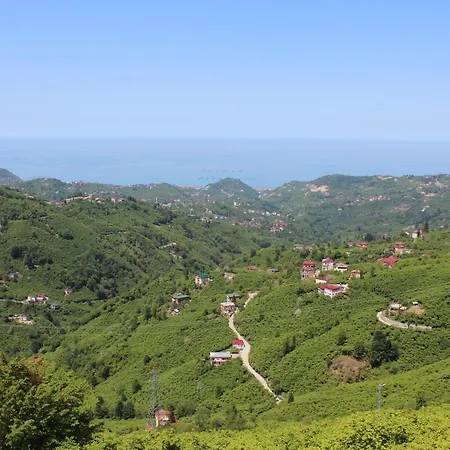 Garden Palace Trabzon