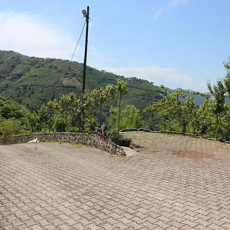 Garden Palace Trabzon